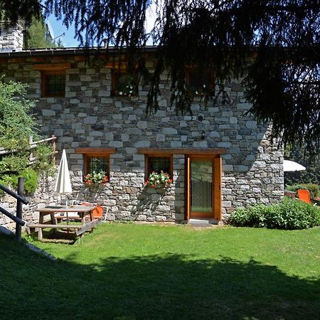 Agriturismo Valsaviore Cevo Экстерьер фото
