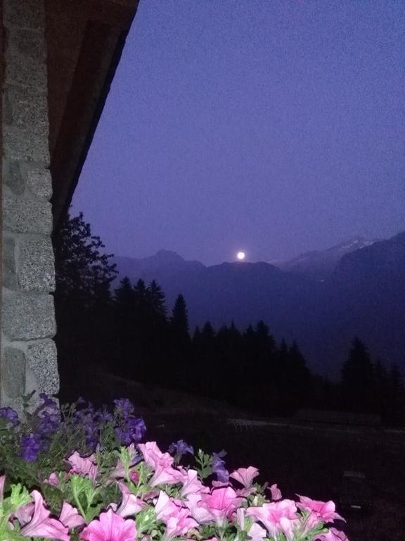 Agriturismo Valsaviore Cevo Экстерьер фото